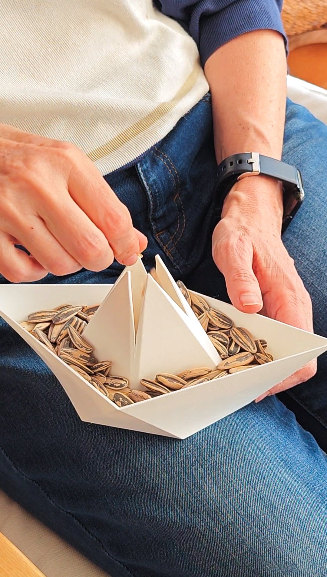 PipaShip - Snack Tray